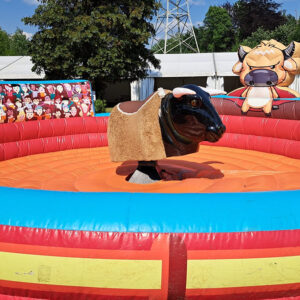 Bullriding — Rodeo